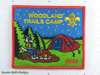 2015 Woodland Trails Camp